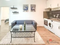 Pronájem bytu 2+1, Plzeň - Východní Předměstí, Guldenerova, 46 m2