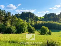 Prodej louky, Levínská Olešnice, 3946 m2