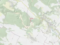 Dražba lesa, Oslavany, 80 m2