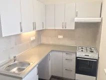 Pronájem bytu 1+1, Ostrava, U Haldy, 38 m2