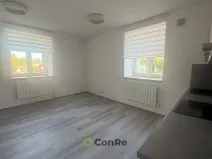 Pronájem bytu 1+kk, Mnichovo Hradiště, Havlíčkova, 31 m2