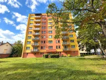 Prodej bytu 2+1, České Budějovice - České Budějovice 7, L. M. Pařízka, 50 m2