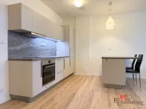 Pronájem bytu 2+kk, Opava - Předměstí, Provaznická, 56 m2