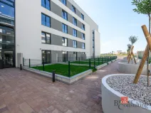 Pronájem bytu 1+kk, Plzeň - Jižní Předměstí, Železná, 33 m2