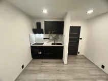 Pronájem bytu 1+kk, Ostrava, Čujkovova, 33 m2