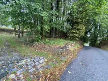 Prodej pozemku, Benešov nad Černou - Kuří, 3849 m2
