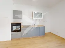 Pronájem bytu 1+kk, Plzeň, Železná, 30 m2