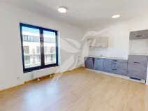 Pronájem bytu 1+kk, Plzeň, Železná, 30 m2