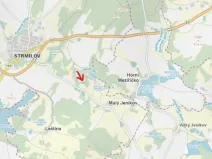 Prodej lesa, Strmilov, 881 m2
