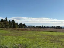 Prodej pozemku pro bydlení, Chocnějovice, 5680 m2