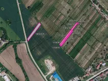 Prodej pole, Nový Poddvorov, 6090 m2