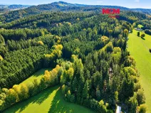 Prodej lesa, Červený Kostelec - Bohdašín, 15881 m2