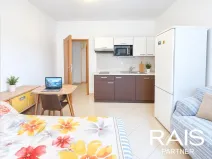 Prodej bytu 1+kk, Brno - Husovice, Svitavská, 30 m2