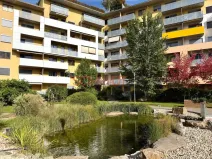 Pronájem bytu 2+kk, Brno - Žabovřesky, Sochorova, 53 m2