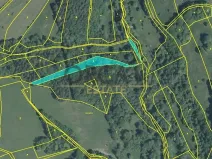 Prodej lesa, Pozlovice, 9893 m2