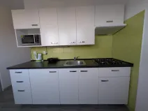 Pronájem bytu 1+1, Habartov, Čs. armády, 36 m2