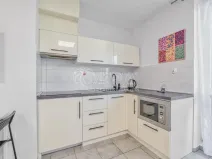 Pronájem bytu 1+kk, Trojanovice, 32 m2