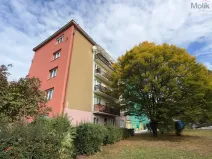Prodej bytu 3+1, Litvínov - Horní Litvínov, U Zámeckého parku, 58 m2