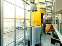 Pronájem obchodního prostoru, Brno, Plynárenská, 1000 m2