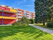 Prodej bytu 1+1, Písek - Budějovické Předměstí, Harantova, 36 m2