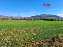 Prodej pole, Sentice, 24461 m2
