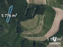 Prodej podílu lesa, Brumovice, 2323 m2