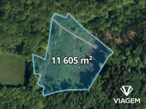 Prodej podílu lesa, Janová, 5802 m2