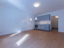 Pronájem bytu 1+kk, Praha - Žižkov, Viklefova, 34 m2