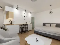 Pronájem bytu 1+kk, Ostrava - Moravská Ostrava, Na Fifejdách, 35 m2