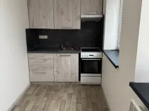 Pronájem bytu 1+1, Opava - Předměstí, Rybářská, 26 m2