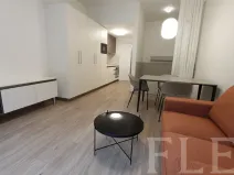 Pronájem bytu 1+kk, Praha - Žižkov, Hartigova, 38 m2