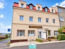 Pronájem výrobních prostor, Světec, Kostomlatská, 150 m2