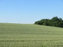 Dražba pole, Břežany I, 2415 m2