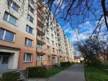 Pronájem bytu 1+kk, Ústí nad Labem - Ústí nad Labem-centrum, Stará, 20 m2