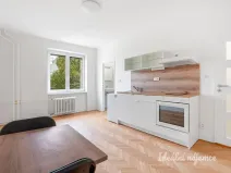 Pronájem bytu 1+kk, Praha - Žižkov, Pod lipami, 20 m2