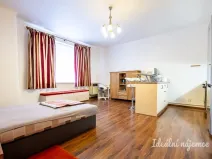 Pronájem bytu 1+kk, Praha - Žižkov, Viklefova, 38 m2