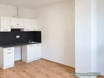 Pronájem bytu 1+kk, Praha - Břevnov, Na břevnovské pláni, 22 m2