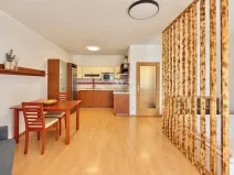 Pronájem bytu 1+kk, Brno, Bělohorská, 41 m2