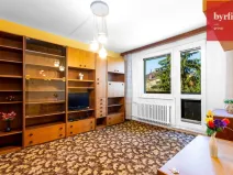 Prodej bytu 1+1, Litovel, Novosady, 30 m2