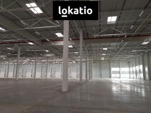 Pronájem skladu, Přehýšov, 6500 m2