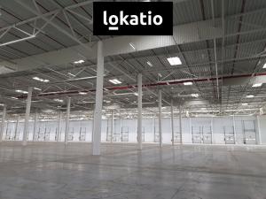 Pronájem skladu, Přehýšov, 6500 m2