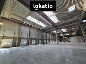 Pronájem skladu, Cheb, 11000 m2