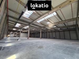 Pronájem skladu, Cheb, 11000 m2