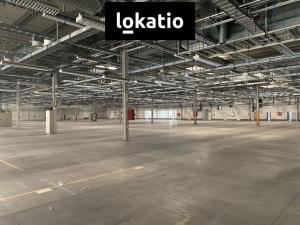 Pronájem skladu, Plzeň, 10300 m2