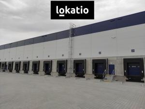 Pronájem skladu, Jirkov, 4300 m2