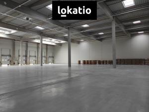 Pronájem skladu, Jirkov, 4300 m2