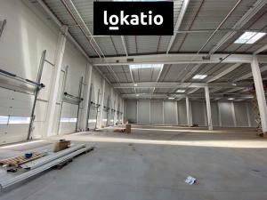 Pronájem skladu, Ostrava - Vítkovice, 3975 m2