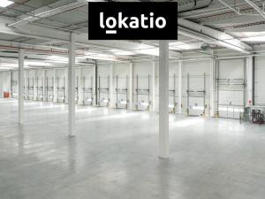 Pronájem skladu, Ostrava - Vítkovice, 10275 m2