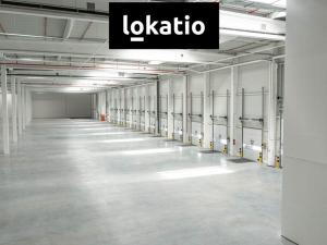 Pronájem skladu, Ostrava - Vítkovice, 10275 m2