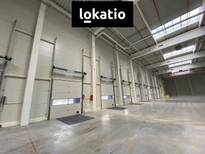 Pronájem skladu, Ostrava - Vítkovice, 2900 m2